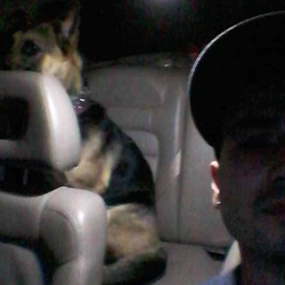 Meet your Posher, Paul - Picture 1 of 1